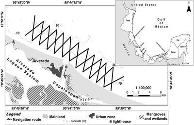 Population Dynamics Reveal a Core Community of the Common Bottlenose Dolphin (Tursiops truncatus) in Open Waters of the South-Western Gulf of Mexico